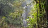 Excursión Otra actividad Unknown - Munduk entre cascades et rizières  - Photo 3