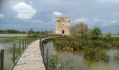 Tour Wandern Aigues-Mortes - Aigiues-Mortes Tour Carbonière  - Photo 3