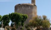 Tour Wandern Aigues-Mortes - Aigiues-Mortes Tour Carbonière  - Photo 1