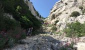 Trail Walking Marseille - coucou maman  - Photo 1