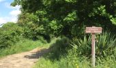 Trail Walking Plouër-sur-Rance - 27.05.2018 - PLOUËR-SUR-RANCE à TADEN - Photo 6