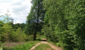 Trail Walking Aywaille - deigne hautregard deigne autour GR576 - Photo 2
