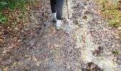 Trail Walking Lévis-Saint-Nom - Chemin de Maincourt 15/03/2018 - Photo 10