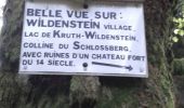 Trail Walking Wildenstein - le Rothenbackopf depuis le col  du Bramont - Photo 4