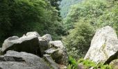 Trail Walking Wildenstein - le Rothenbackopf depuis le col  du Bramont - Photo 1