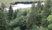 Trail Walking Wildenstein - le Rothenbackopf depuis le col  du Bramont - Photo 6