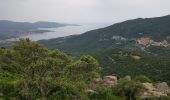 Excursión Senderismo Fozzano - C6 Mare e Monti Sud: Burgo - Olmeto - Photo 1
