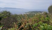 Excursión Senderismo Serra-di-Ferro - C8  Mare e Monti sud: Porto Pollo - Coti-Chiavari - Photo 1