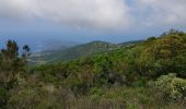 Trail Walking Serra-di-Ferro - C8  Mare e Monti sud: Porto Pollo - Coti-Chiavari - Photo 5