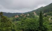 Tour Wandern Serra-di-Ferro - C8  Mare e Monti sud: Porto Pollo - Coti-Chiavari - Photo 7