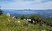 Tour Wandern Albitreccia - C10 Mare e Monti sud: Bisinao Porticcio - Photo 2