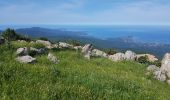 Trail Walking Albitreccia - C10 Mare e Monti sud: Bisinao Porticcio - Photo 1