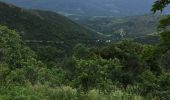 Trail Equestrian Poggio-di-Venaco - santa Maria di Mercurio - Photo 20