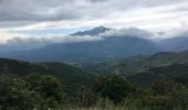 Excursión Caballo Poggio-di-Venaco - santa Maria di Mercurio - Photo 19