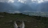 Trail Equestrian Poggio-di-Venaco - santa Maria di Mercurio - Photo 11
