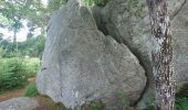 Tocht Stappen Fontainebleau - pso-180607 - RECO Cuvier-MarePiat - Photo 3