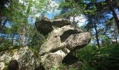 Trail Walking Fontainebleau - pso-180607 - RECO Cuvier-MarePiat - Photo 16