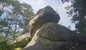 Tocht Stappen Fontainebleau - pso-180607 - RECO Cuvier-MarePiat - Photo 5
