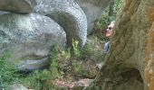 Trail Walking Fontainebleau - pso-180607 - RECO Cuvier-MarePiat - Photo 10