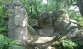 Trail Walking Fontainebleau - pso-180607 - RECO Cuvier-MarePiat - Photo 6