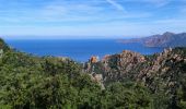 Percorso Marcia Piana - Calanques de Piana - Photo 14