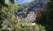 Percorso Marcia Piana - Calanques de Piana - Photo 11