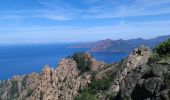 Percorso Marcia Piana - Calanques de Piana - Photo 1