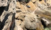 Tour Wandern Le Lavandou - Sentier du littoral St Clair a` La Fossette et retour  - Photo 20