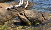 Randonnée Marche Le Lavandou - Sentier du littoral St Clair a` La Fossette et retour  - Photo 19