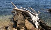 Excursión Senderismo Le Lavandou - Sentier du littoral St Clair a` La Fossette et retour  - Photo 18