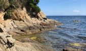 Excursión Senderismo Le Lavandou - Sentier du littoral St Clair a` La Fossette et retour  - Photo 17