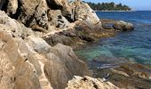 Tour Wandern Le Lavandou - Sentier du littoral St Clair a` La Fossette et retour  - Photo 16