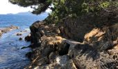 Tocht Stappen Le Lavandou - Sentier du littoral St Clair a` La Fossette et retour  - Photo 7