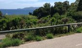 Tour Wandern Le Lavandou - Sentier du littoral St Clair a` La Fossette et retour  - Photo 4