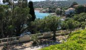 Randonnée Marche Le Lavandou - Sentier du littoral St Clair a` La Fossette et retour  - Photo 2