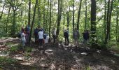 Trail Walking Guyancourt - Sortie Etang de la Geneste 07/06/2018 - Photo 15