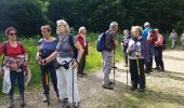 Trail Walking Guyancourt - Sortie Etang de la Geneste 07/06/2018 - Photo 13