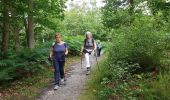 Trail Walking Guyancourt - Sortie Etang de la Geneste 07/06/2018 - Photo 11