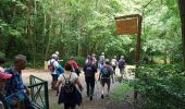 Trail Walking Guyancourt - Sortie Etang de la Geneste 07/06/2018 - Photo 7