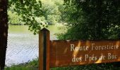 Tour Wandern Guyancourt - Sortie Etang de la Geneste 07/06/2018 - Photo 3