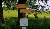 Tour Wandern Espinchal - plateau de Redondel - Photo 5