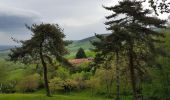 Tocht Stappen Saint-Chamond - Marche de st martin en coualleux - Photo 10