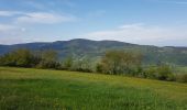 Trail Walking Saint-Chamond - Marche de st martin en coualleux - Photo 9