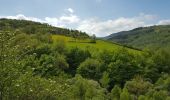 Tocht Stappen Saint-Chamond - Marche de st martin en coualleux - Photo 7