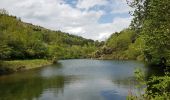 Tocht Stappen Saint-Chamond - Marche de st martin en coualleux - Photo 5