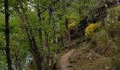 Tocht Stappen Saint-Chamond - Marche de st martin en coualleux - Photo 3