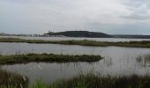 Randonnée Marche Gruissan - tour du lac de Gruissan  - Photo 2