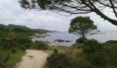Trail Walking Saint-Florent - Saint Florent Corse - Photo 19