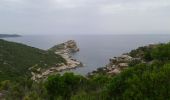 Trail Walking Saint-Florent - Saint Florent Corse - Photo 7