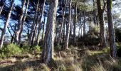 Tour Wandern Saint-Guilhem-le-Désert - Roc de la vigne - Photo 1